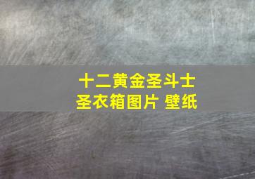 十二黄金圣斗士圣衣箱图片 壁纸